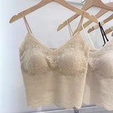5879 # Sexy Lace Beauty Inside The Woman With Bra Bra Without Steel Ring Wearing Bottom Top Slings On The Back Of The Women's Slings