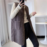 Long-Term Vest Women In Autumn And Winter Long Imitation Lamb Wool Horse Clip Fashion New Gas Lady Coat Woman