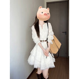 French White Long-Sleeved Waist Dress Women's Spring 2026 New Small Temperament Beautiful Long Dress